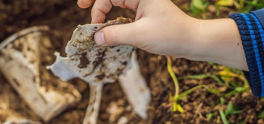 Biyodegradable vs. Alaabta Baakadaha Compostable